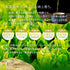 Tea grown without pesticides or chemical fertilizers Fukamushi tea bag 2.5g x 100p